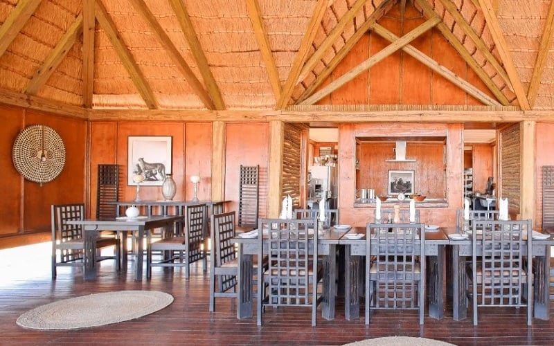 Stay Longer For Less at Feline Fields Lodge Kalahari Desert